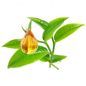 tea Tree Oil