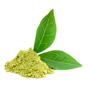 Green-Tea-Extract